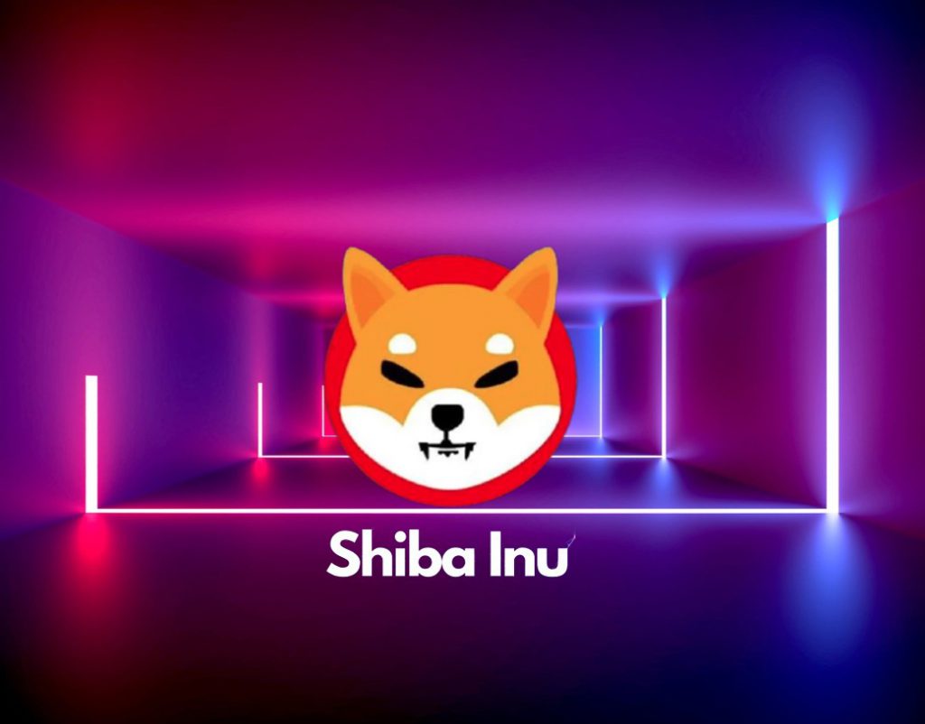 经济困境下柴犬主人的反思:生活不总是星期天